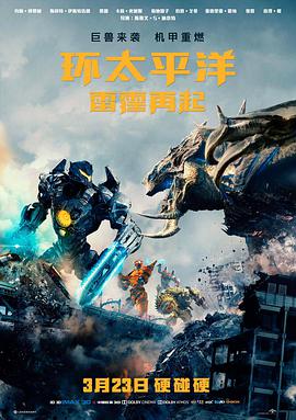 红叶影院精选影片 暗夜追凶 剧照